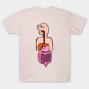 Colorful Illustration of the Digestive System - Med School Anatomy Physiology T-Shirt